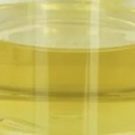 Жидкость CAS 19321-40-5 олеата PETO Pentaerythrityl стабилизатора модификатора смазки масла